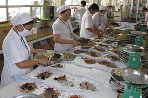 Vietnam-Russia Oriental Medicine Association launched